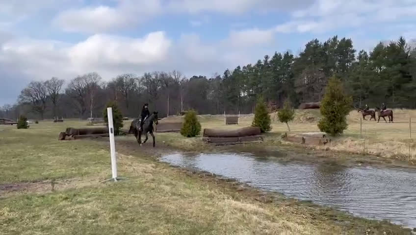 Hoppning hästar till salu: Fantastisk läromästare efter HipHop x Cortez🎖🤩 i Tollarp - Video 2