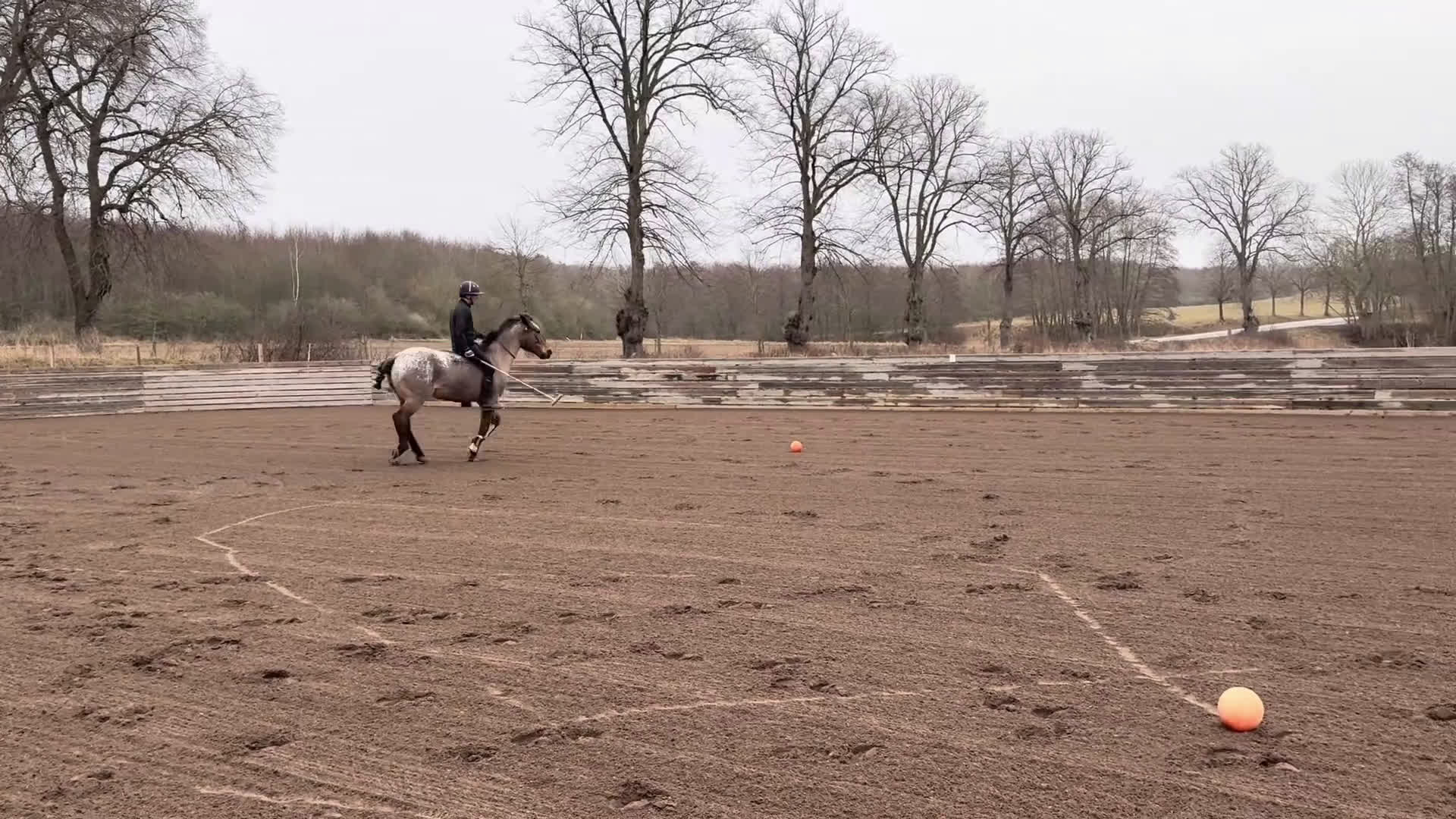 Allround hästar till salu: Världens snällaste ponny i Sjöbo - Video 1