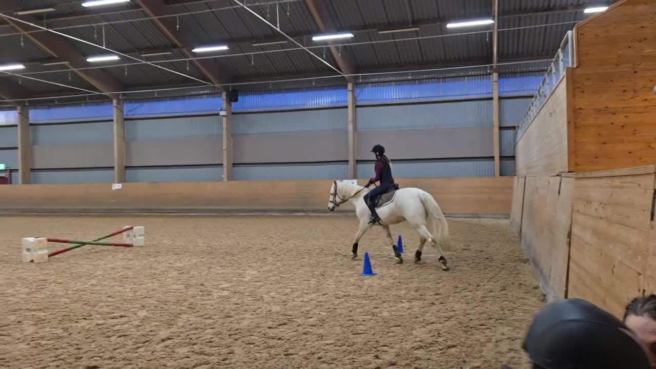 Hoppning hästar sökes: Medryttarhäst sökes! - Video 3
