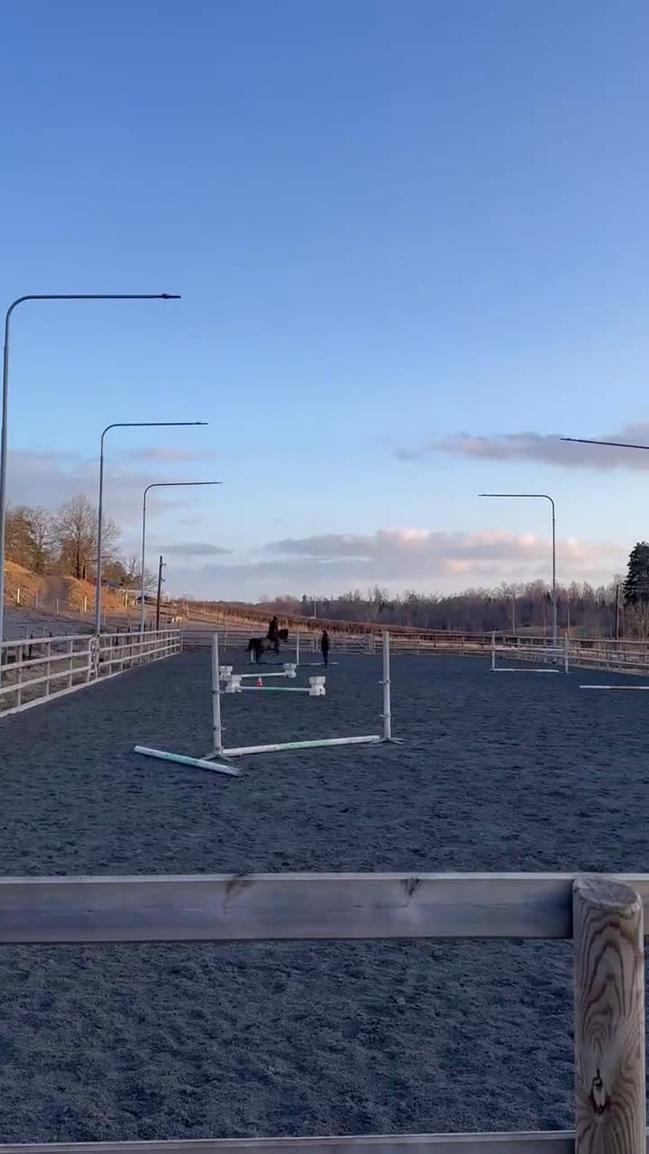 Allround hästar till salu: Maxad c-ponny  - Video 1