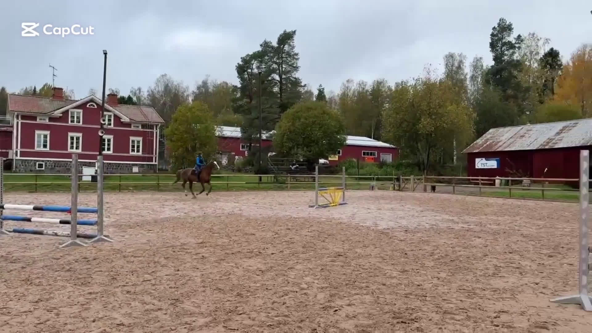 Allround hästar till salu: Häftigt sto för den som är hoppglad  i Hofors - Video 1