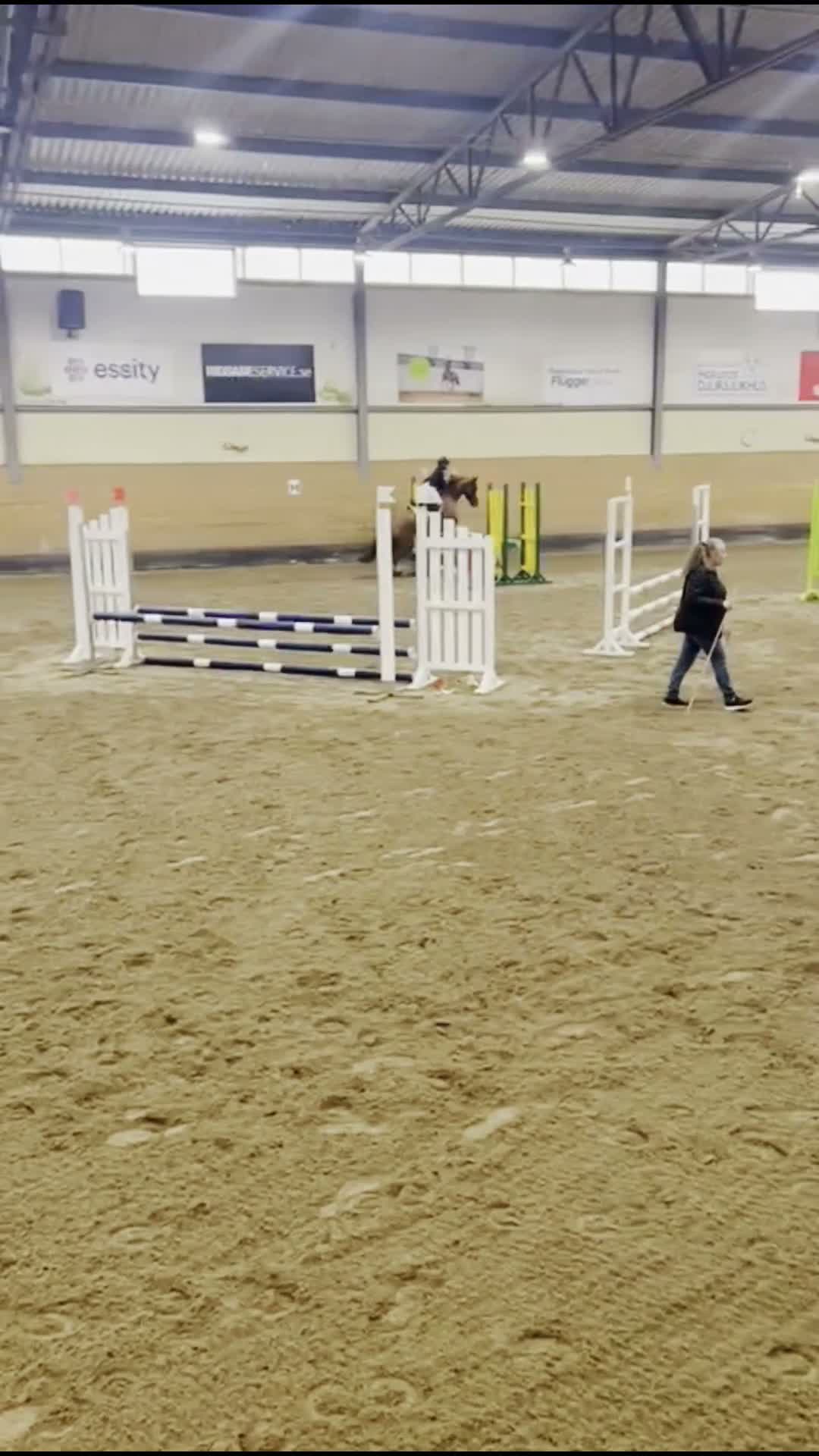 Allround hästar till salu: Fin allroundponny, 8 år kat.C - Video 4