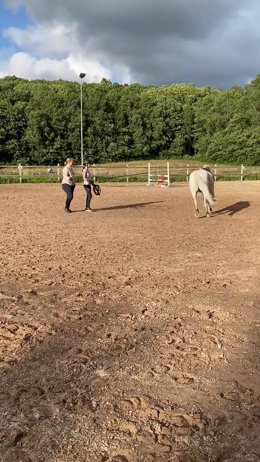 Allround hästar till salu: Trygg allroundponny och läromästare  i Kungsbacka - Video 3