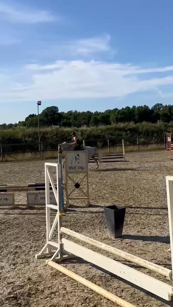 Hoppning hästar till salu: Fantastisk tävlingshäst med mycket kvar att ge - Video 3