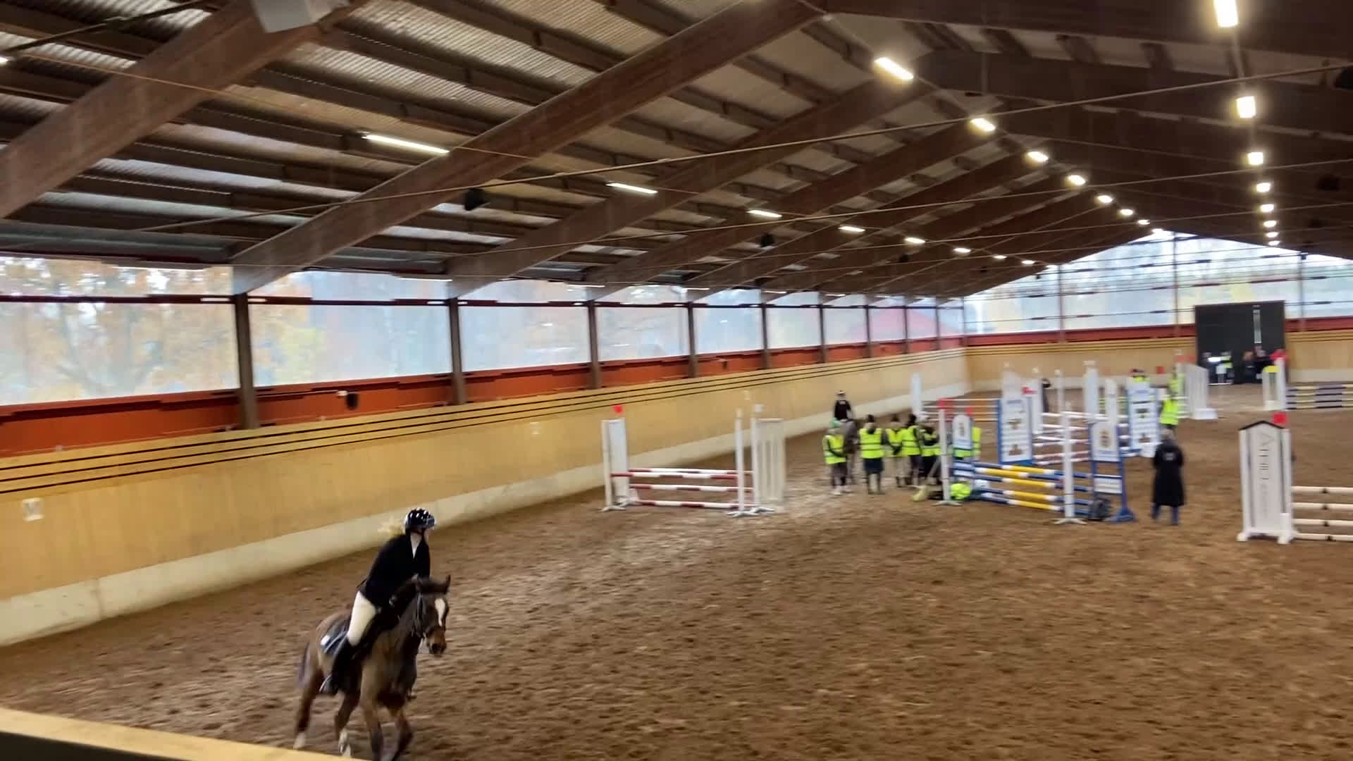 Allround hästar till salu: Framtida Sjärna🌟 i Ljungbyholm - Video 2