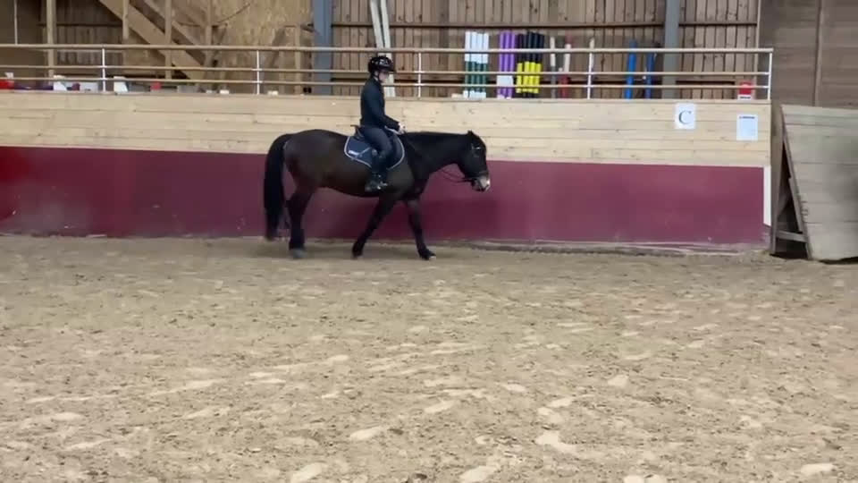 Allround hästar till salu: Snäll gullig ponny. i Torslanda - Video 1