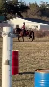 Allround hästar till salu: Läromästare säljes - Video 4