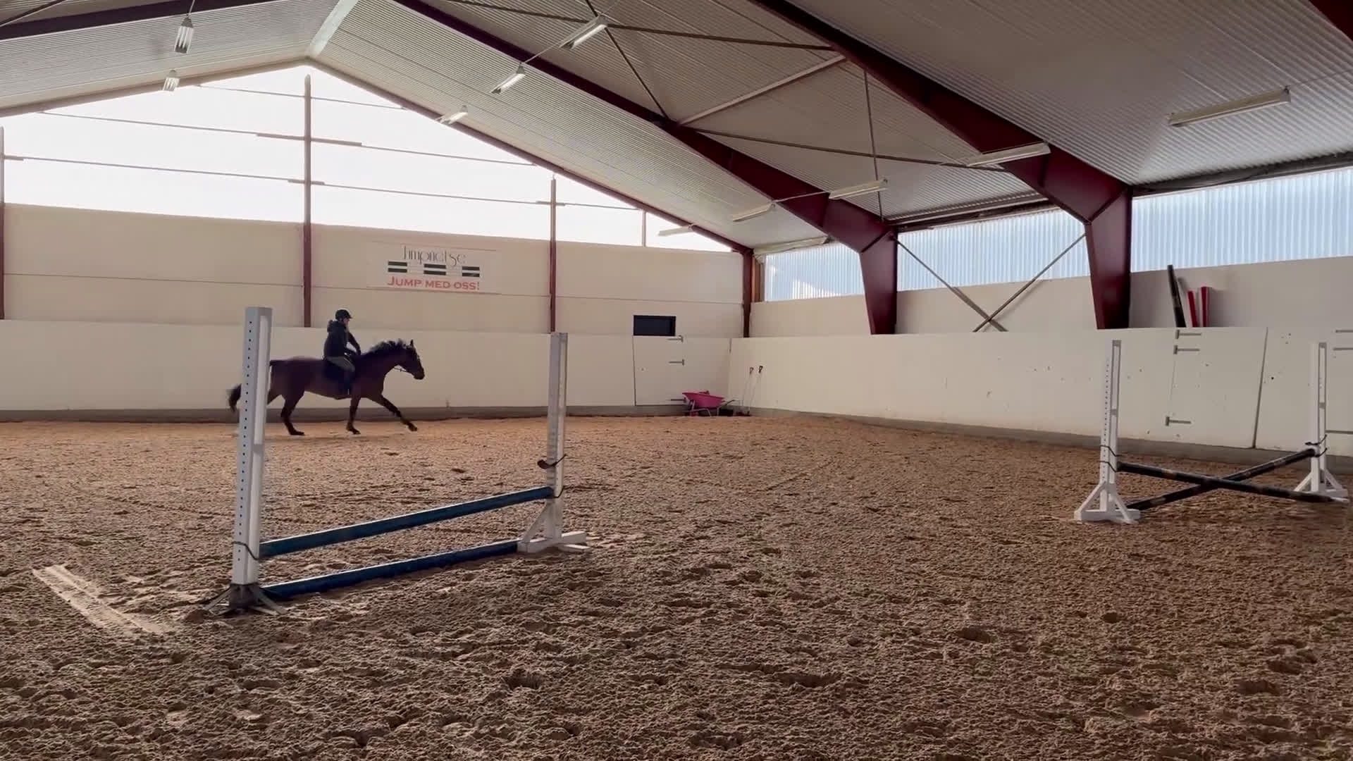 Hoppning hästar till salu: Häst för alla dicipliner!  - Video 2