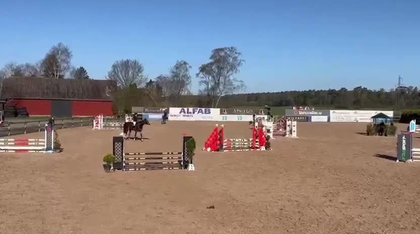 Hoppning hästar till salu: Trevlig 5årig med tilltalande stam!  - Video 2