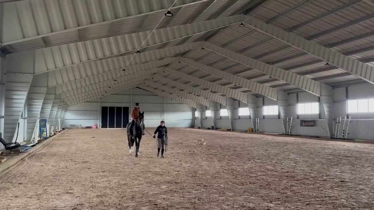 Allround hästar till salu: Lovande unghäst i Ålberga - Video 2