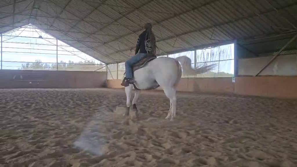 Western hästar till salu: Lovande tävlingshäst, nybesiktigad ua 18/10 i Broddetorp - Video 3