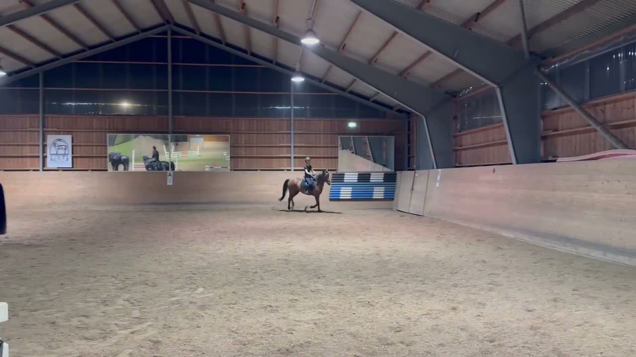 Allround hästar till salu: Välutbildad och meriterad Svensk Ridponny - Video 2