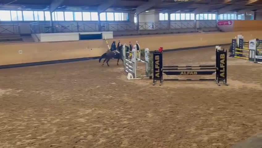 Hoppning hästar till salu: Sportponny med toppstam - Video 1