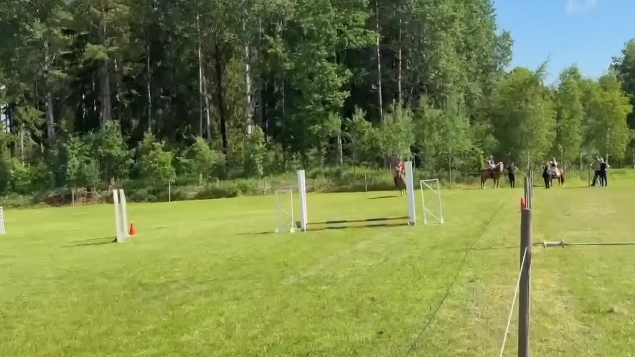 Hoppning hästar sökes: SÖKER HÄST!! - Video 2