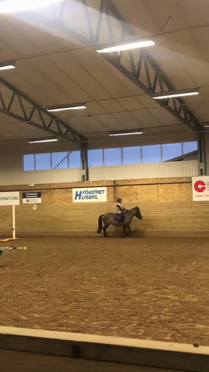  medryttarhäst sökes: Söker medryttarhäst nära Lysekil i Lysekil - Video 4