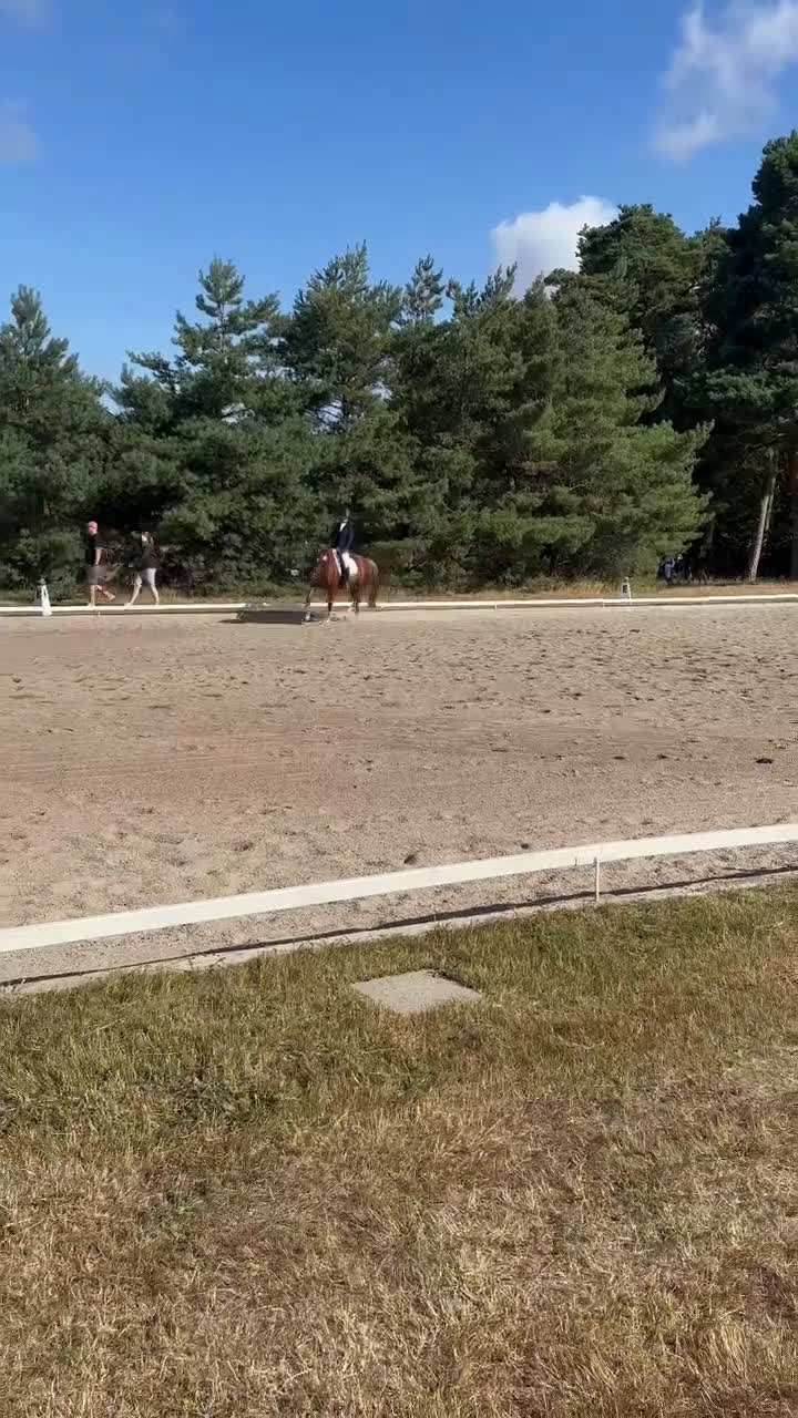 Fälttävlan hästar till salu: Underbar fräsch läomästare  i Lund - Video 2