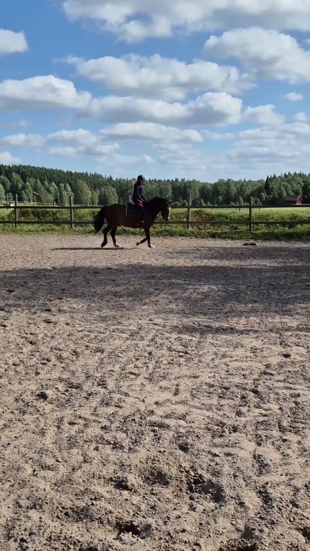 Hoppning hästar till salu: Trevlig Allroundponny  i Landsbro - Video 4