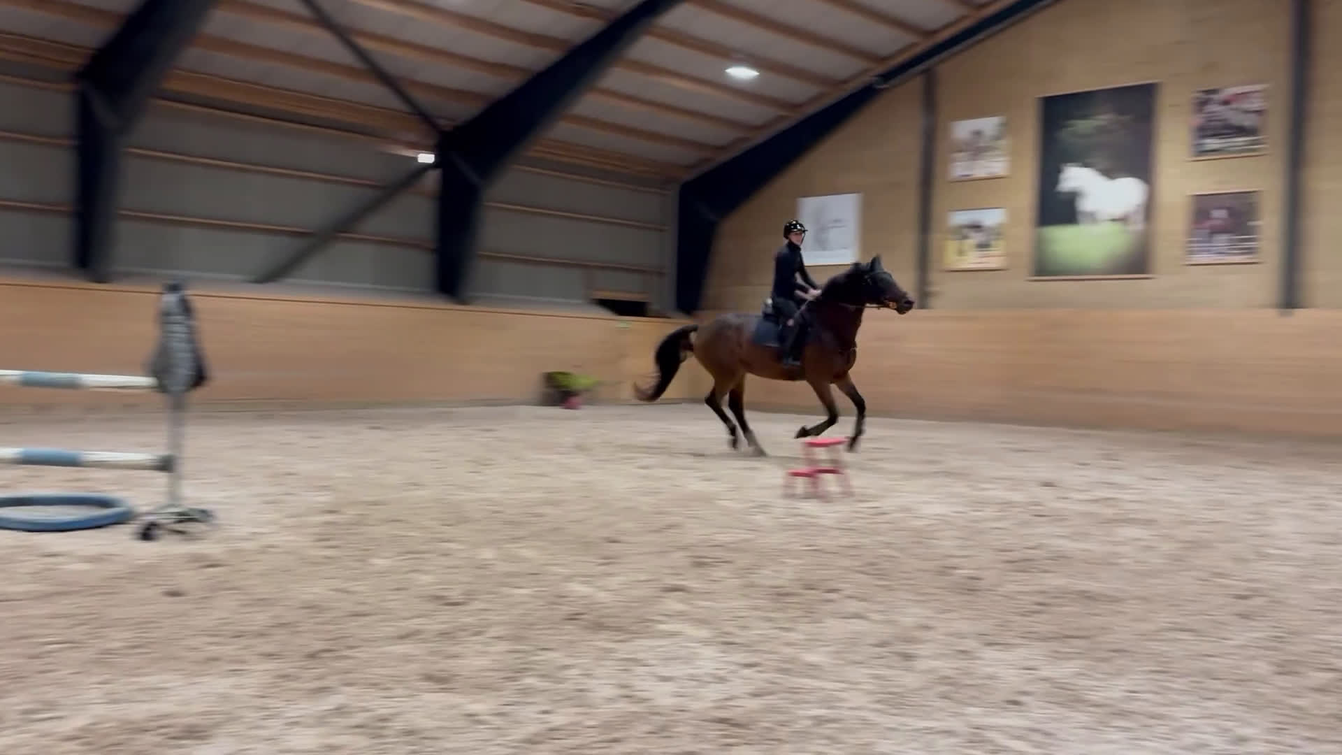 Hoppning hästar till salu: Rolig hobbyhäst inklusive ny sadel  i Bolmsö - Video 1