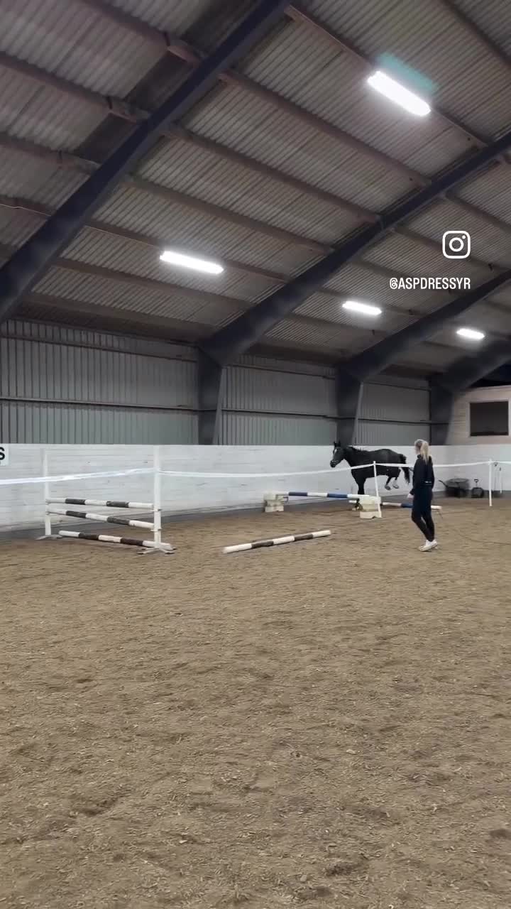 Hoppning hästar till salu: Mycket talangfull 4-åring - Video 1