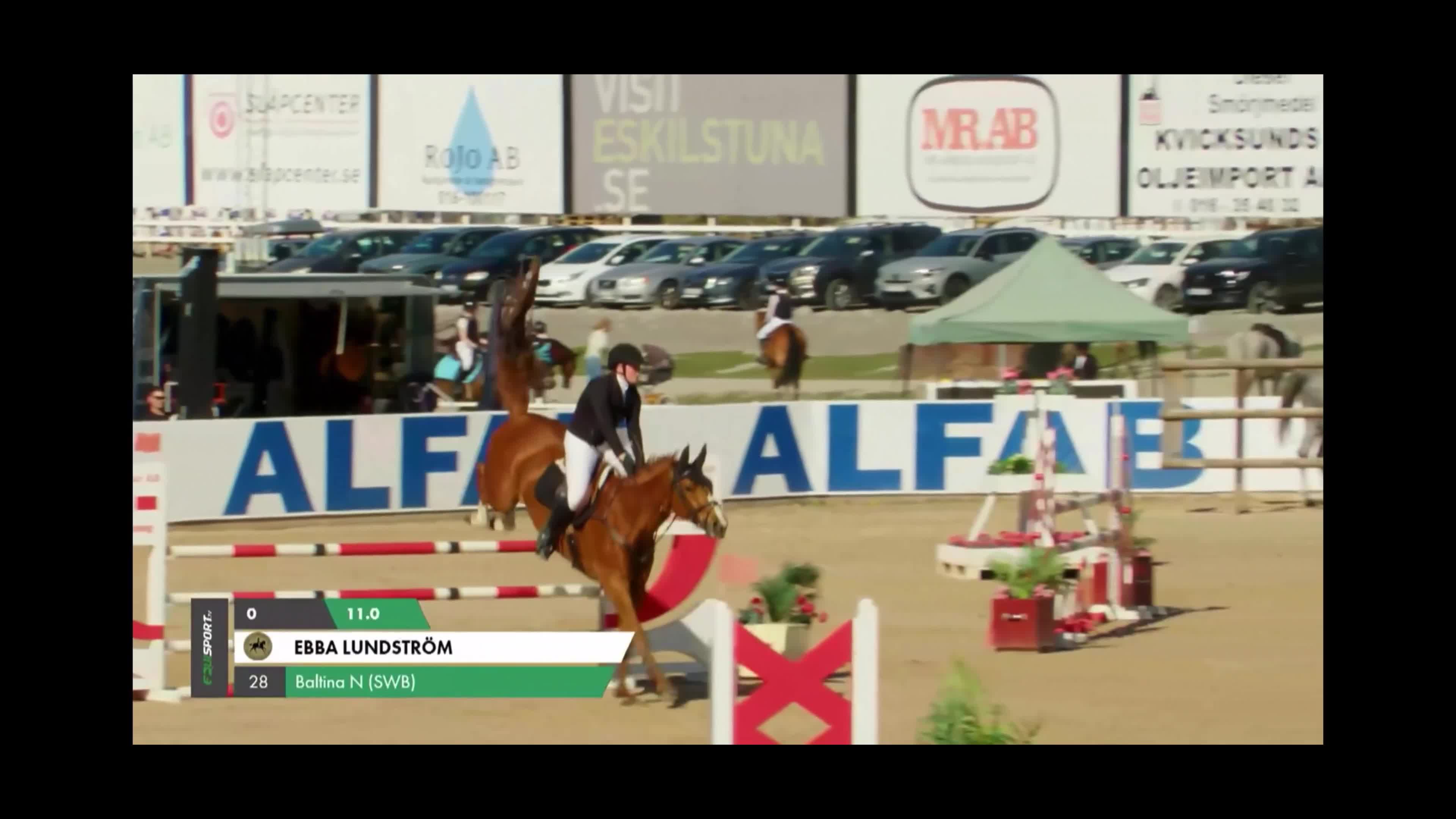 Hoppning hästar till salu: Hopphäst med underbar inställning  - Video 1