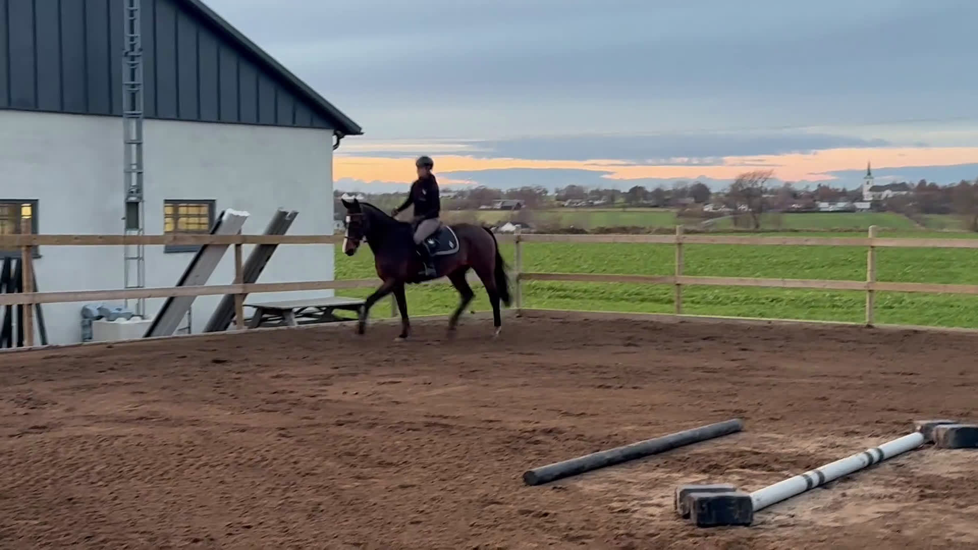 Hoppning hästar till salu: Okomplicerad storhäst i Tomelilla - Video 1