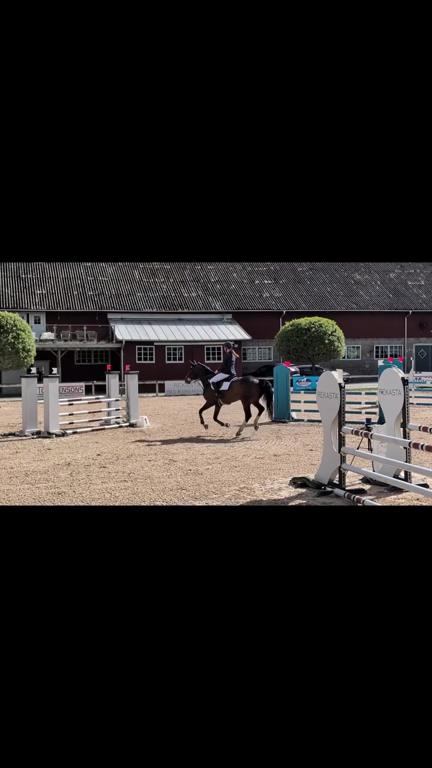 Allround hästar till salu: Talangfull 5-åring för hoppning eller fälttävlan - Video 1