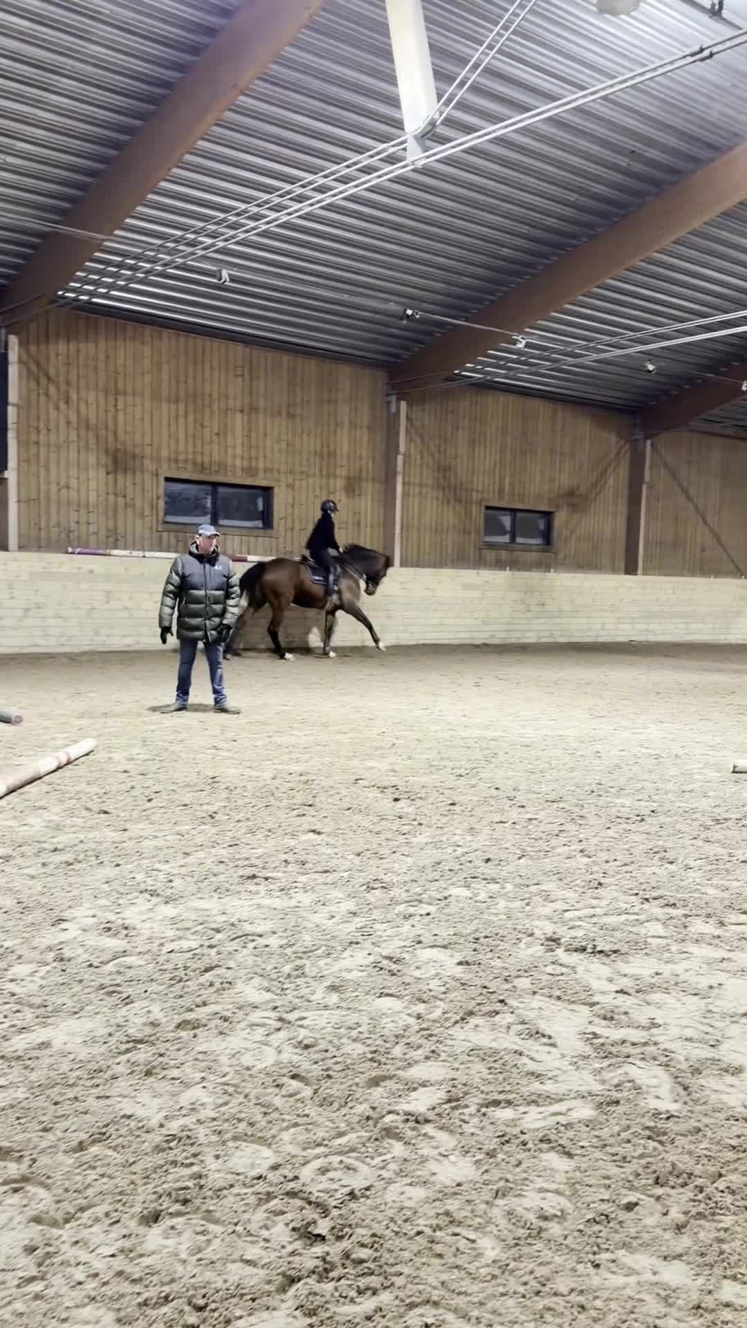 Hoppning hästar till salu: Jättefin 6:åring till salu - Video 2