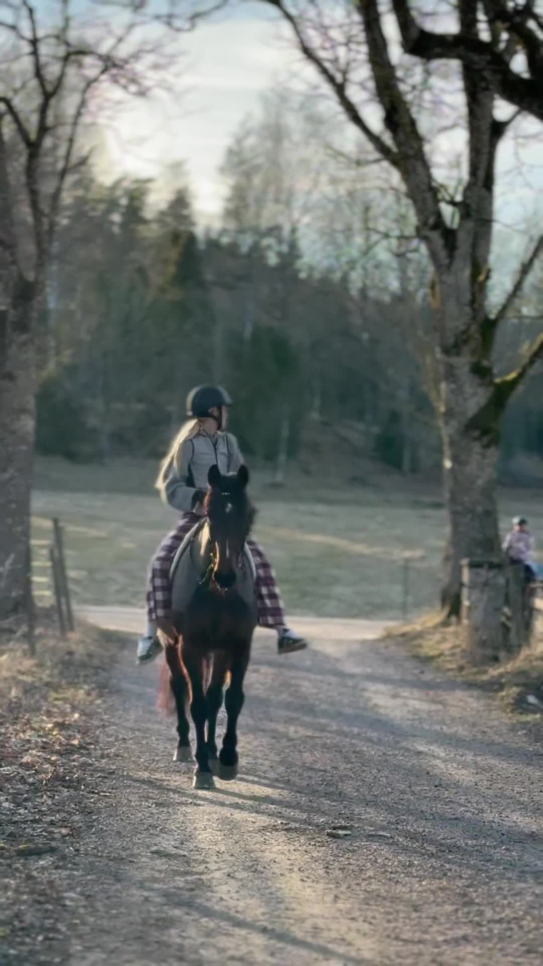 Allround hästar sökes: Söker en ny bästa kompis!⭐️ - Video 2