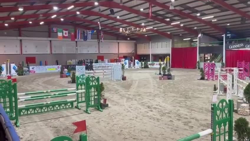 Hoppning hästar till salu: Topp D Ponny För De Större Uppgifterna 🌸 - Video 1