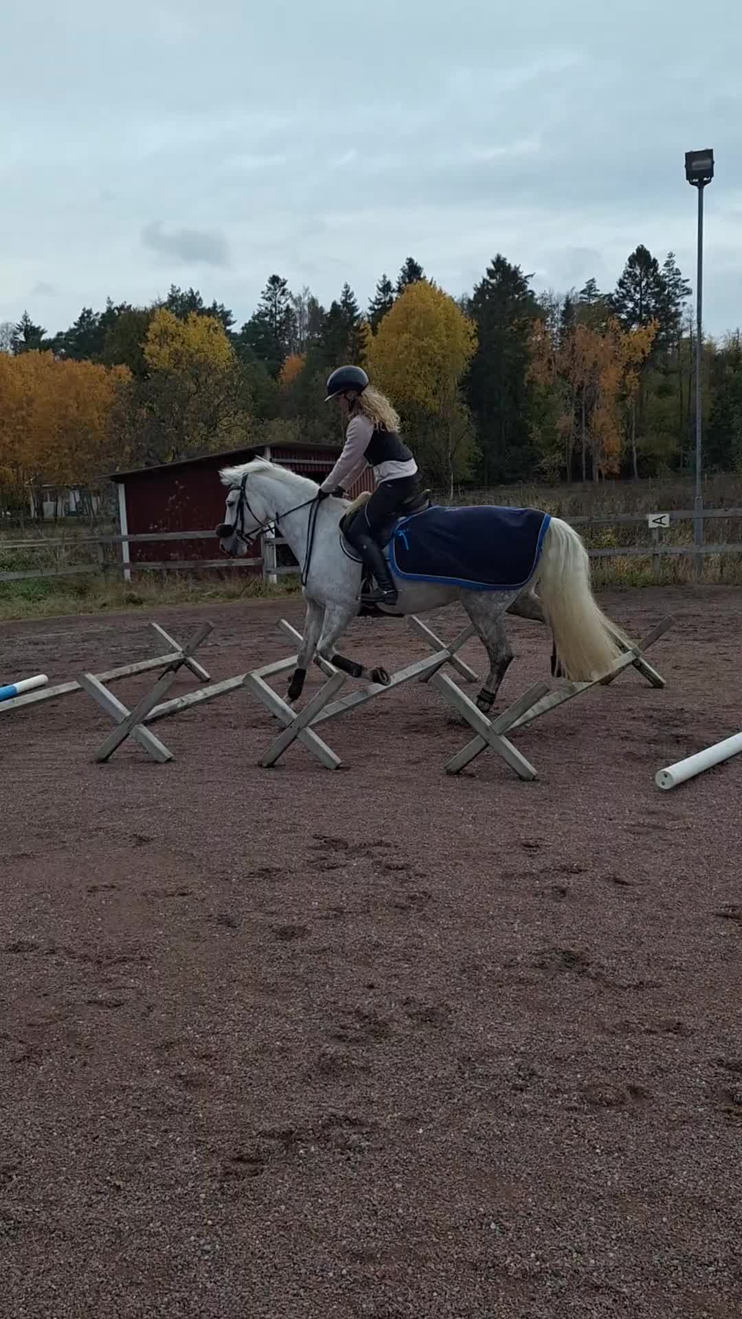Allround hästar till salu: ✨️ Trevlig allroundponny ✨️ - Video 2
