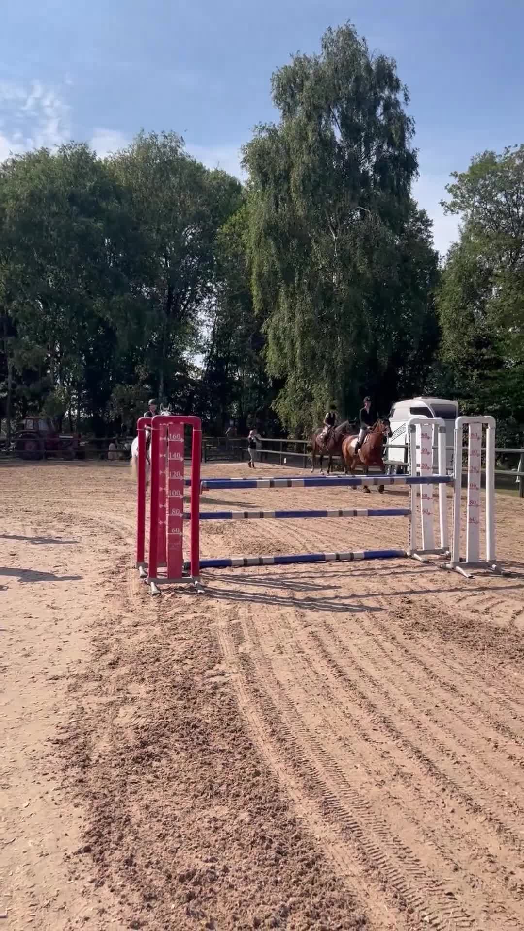  hästjobb finnes: Tillridning och försäljning - Video 1