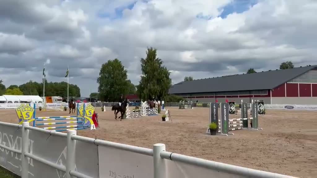 Hoppning hästar till salu: Trevlig 4årigt sto - Video 2