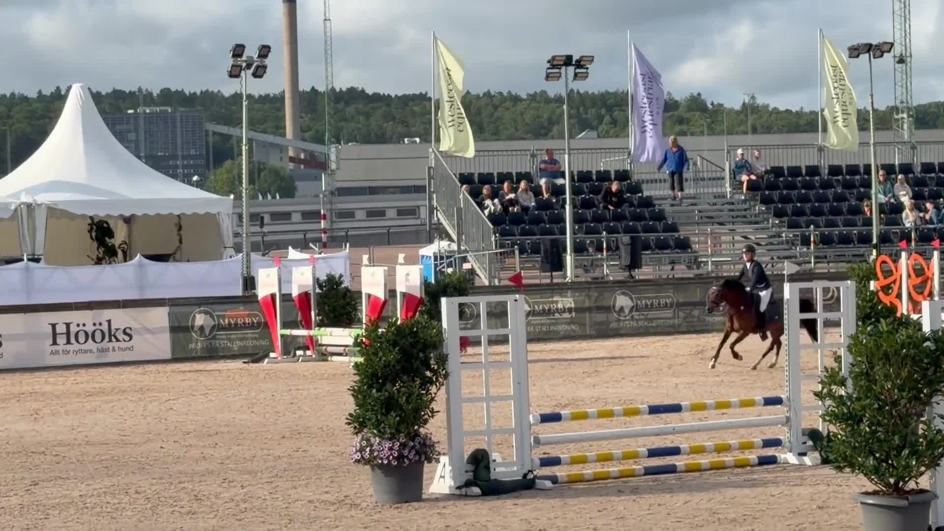 Hoppning hästar till salu: B-ponny - Video 1