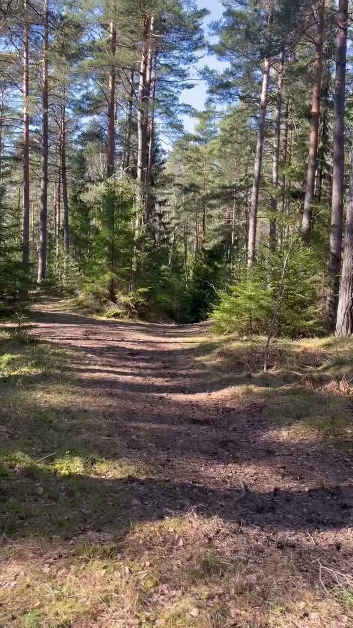 Allround hästar till salu: Söt häst söker nytt hem! i Adelsö - Video 1