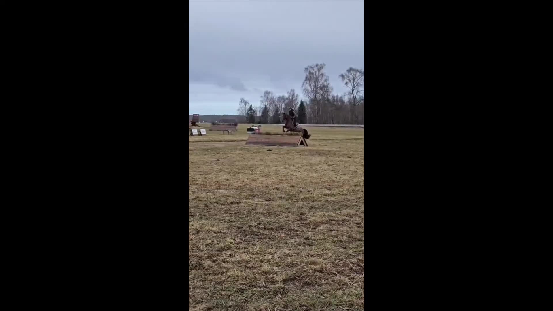 Fälttävlan hästar till salu: Häftig fälttävlanshäst - Video 1