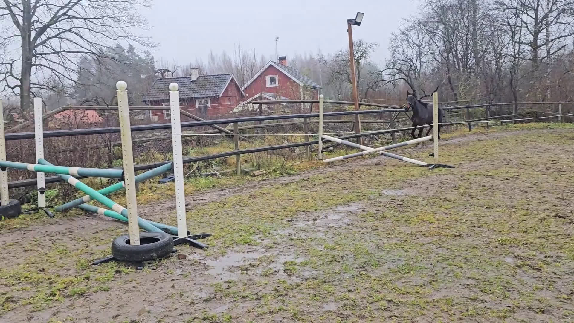 Allround hästar till salu: Snäll travhäst i Odensbacken - Video 1