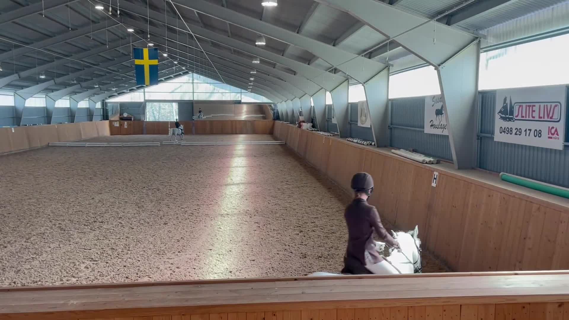 Fälttävlan hästar till salu: Rolig allroundponny - Video 1