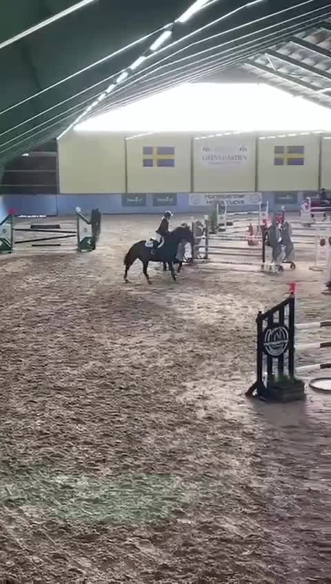 Hoppning hästar till salu: Välutbildad valack som bjuder på härlig ridkänsla - Video 1