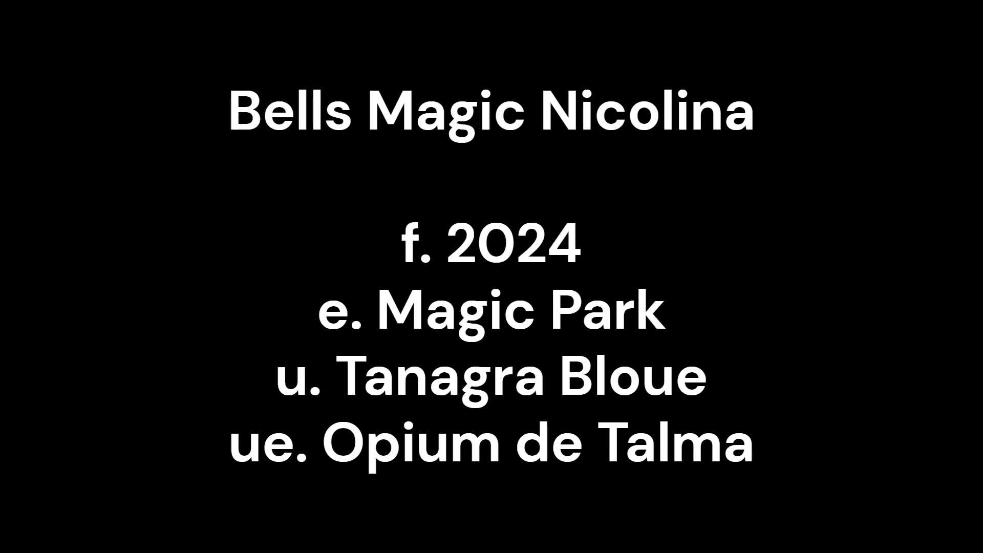 Hoppning hästar till salu: Lovande hopphäst - Video 1