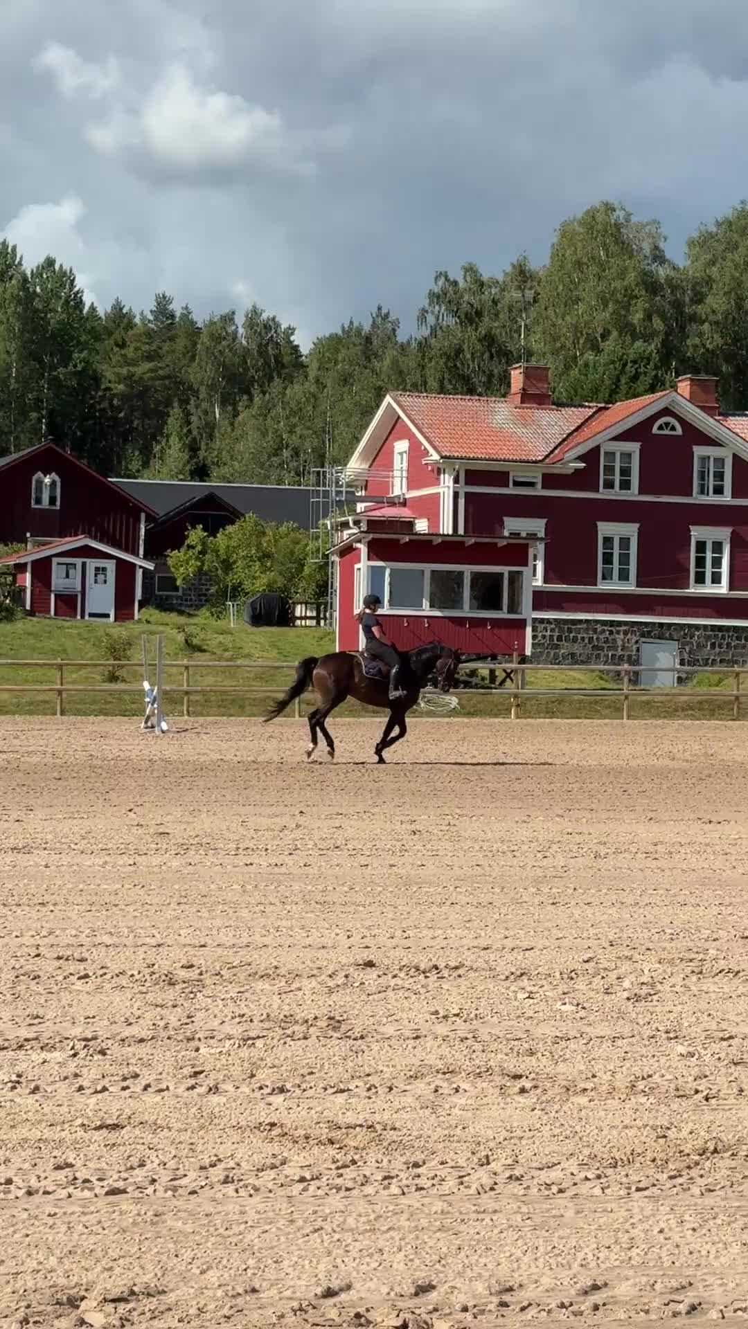 Dressyr hästar till salu: Snäll och utvecklingsbar valack - Video 1