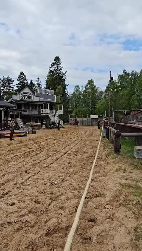 Allround hästar till salu: Välutbildad portugisisk häst med showmeriter - Video 2