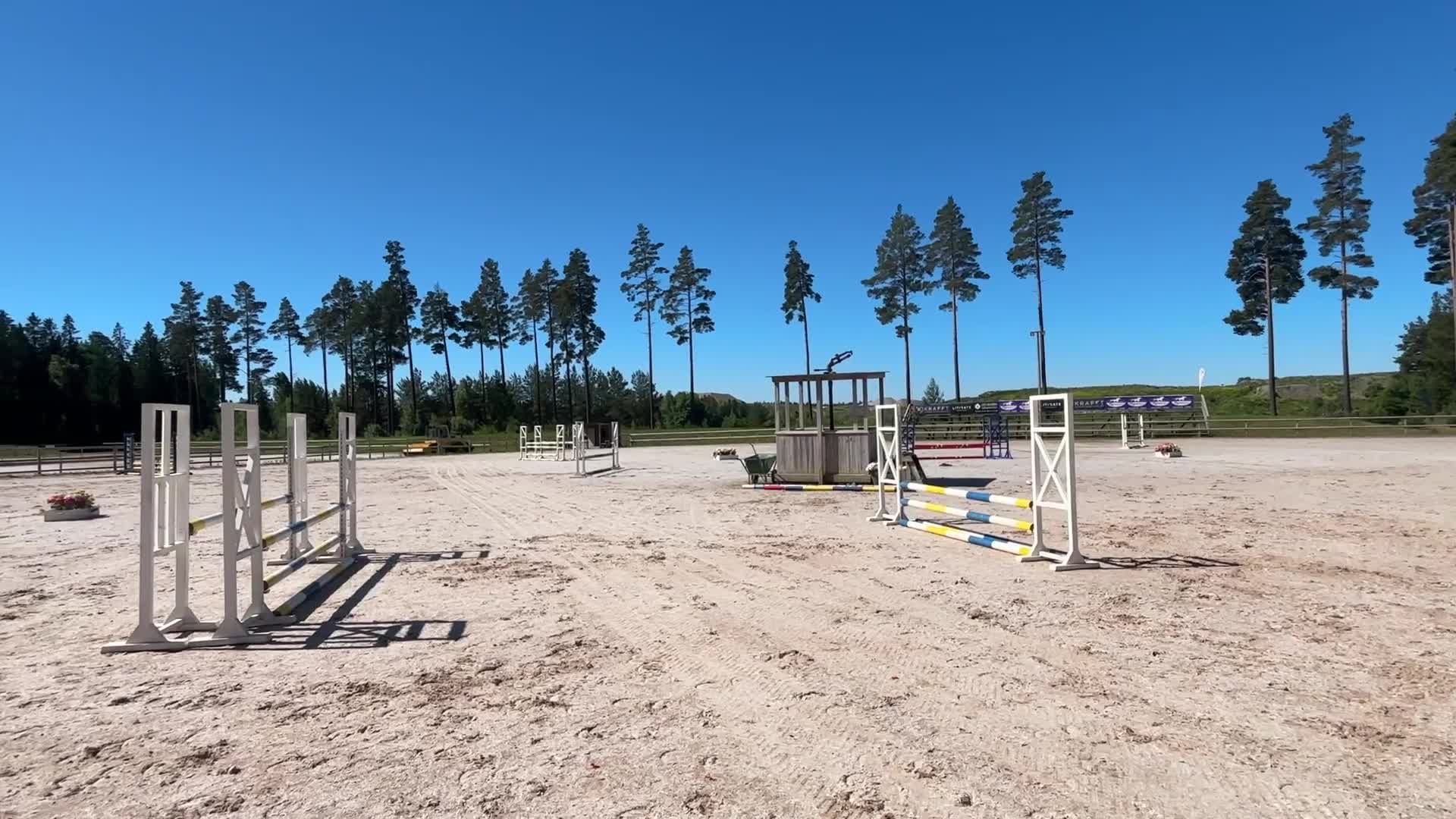 Hoppning hästar till salu: Jättefin 4-åring till salu! - Video 2