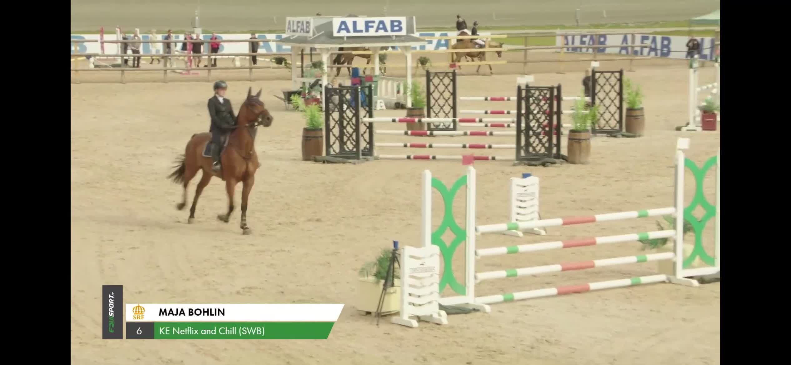 Allround hästar till salu: Stor och sportig 9 åring valack. - Video 2