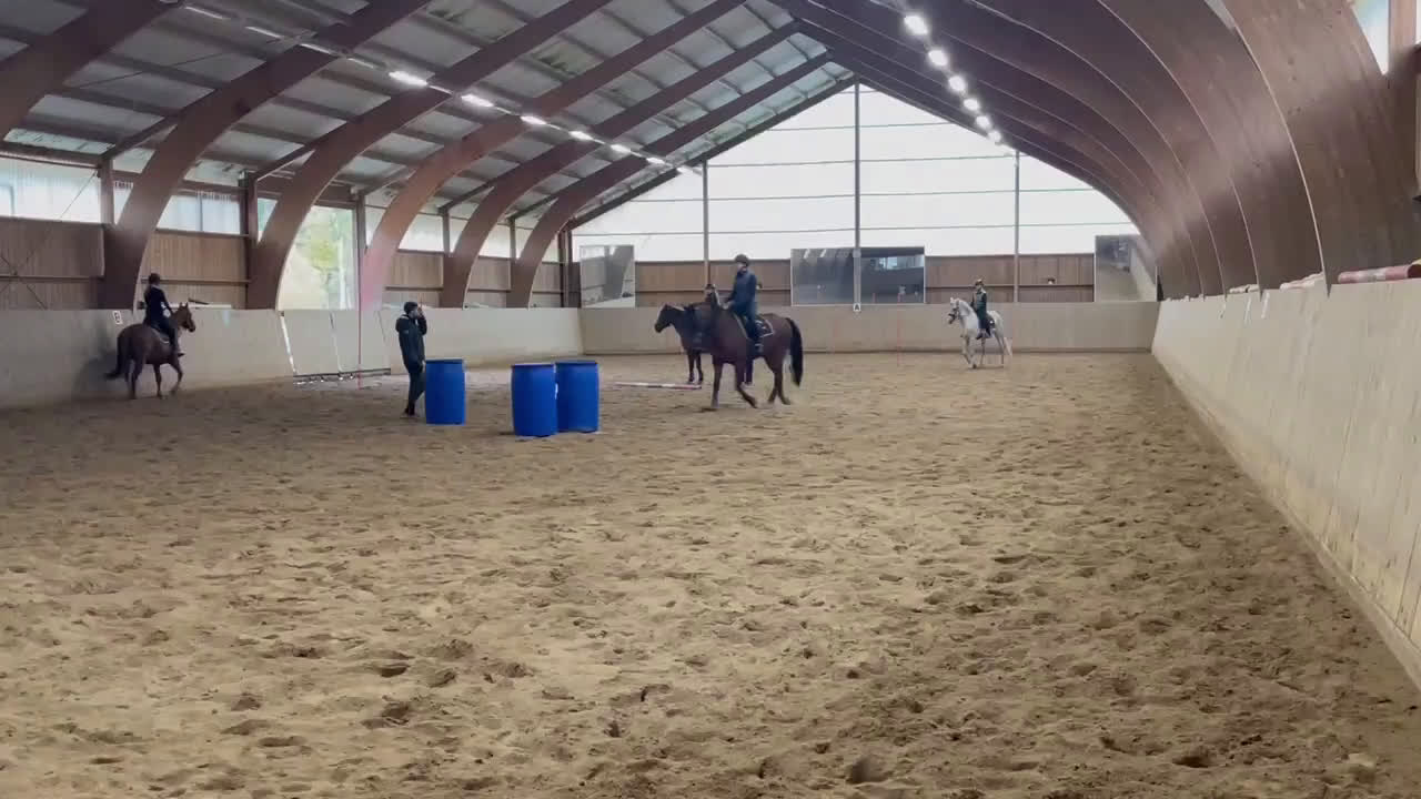 Allround hästar till salu: En go häst att göra lite av varje med i Vallentuna - Video 3