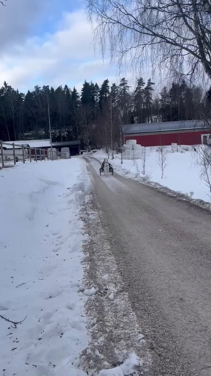 Körning hästar till salu: Socker Söt Ponny🌸 i Åmål - Video 1