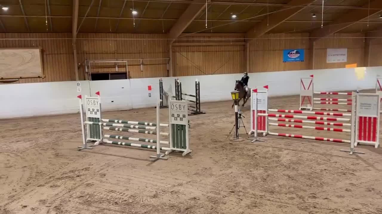 Fälttävlan hästar till salu: Fantastisk läromästare allround till salu - Video 1