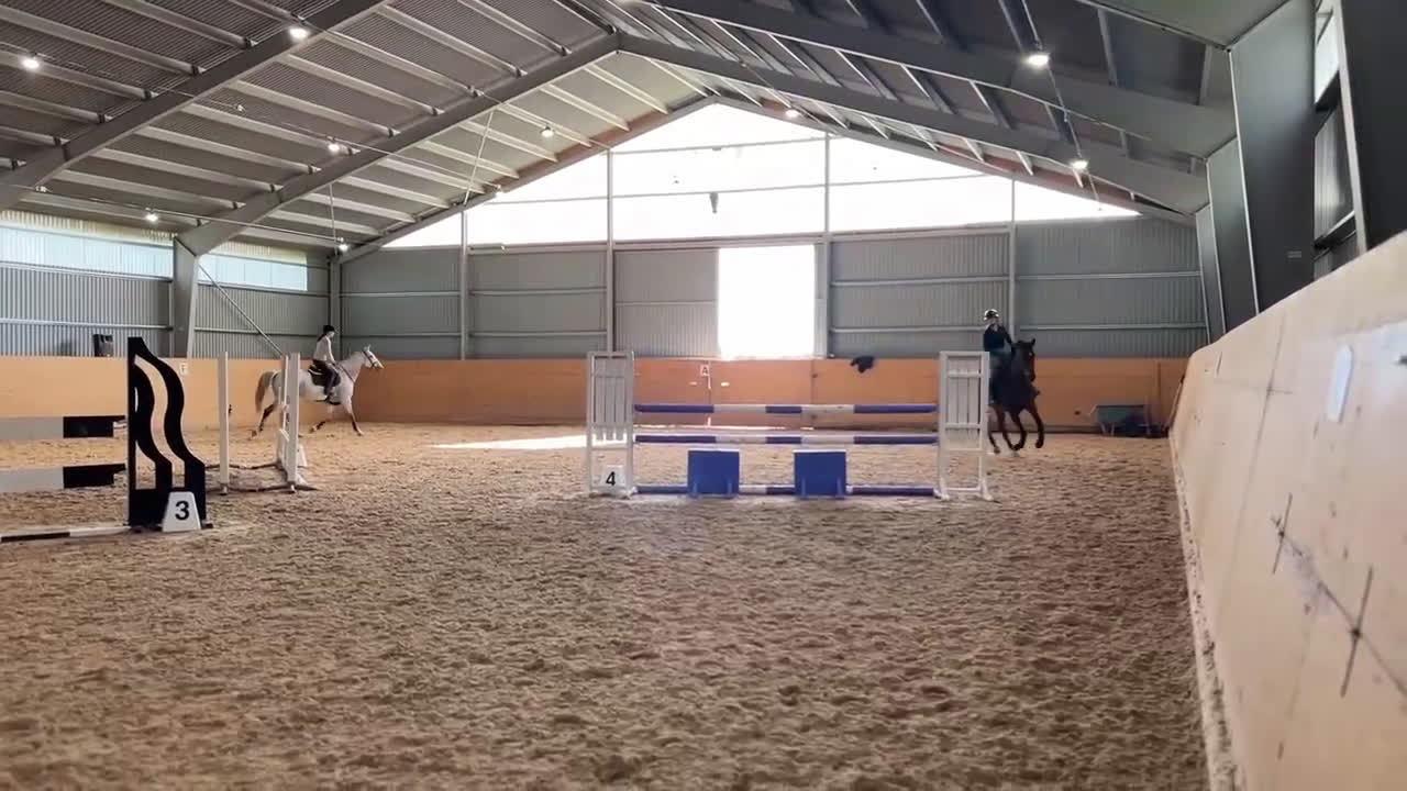 Hoppning hästar till salu: Trevlig som få med mycket potential  i Väderstad - Video 2