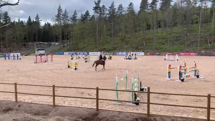 Hoppning hästar till salu: Sto med mycket scoope! i Tingsryd - Video 2