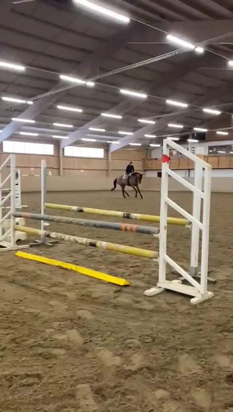 Hoppning hästar till salu: 🌟 Fina Fia 🍀 i Kungsängen - Video 1