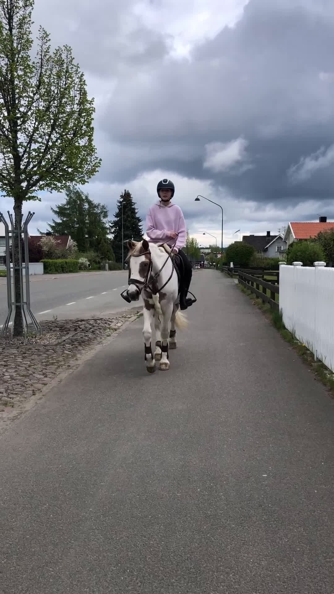 Allround hästar till salu: Fin läromästare  i Tidaholm - Video 2